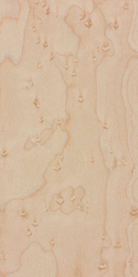 Example of Bird's Eye Maple