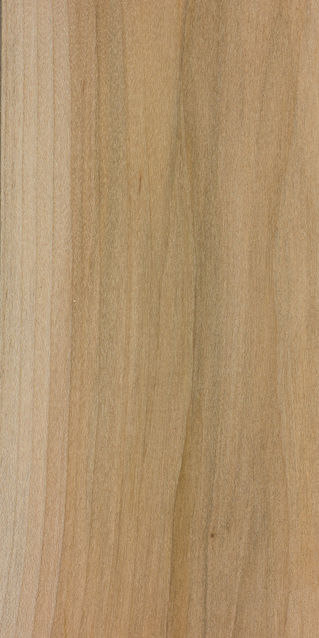 Example of Soft Maple